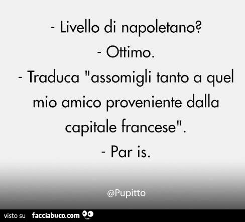 Livello di napoletano? Ottimo. Traduca assomigli tanto a quel mio amico proveniente dalla capitale francese. Par is