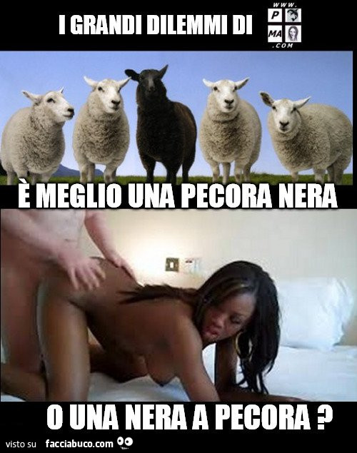I grandi dilemmi. È Meglio una pecora nera o una nera a pecora?