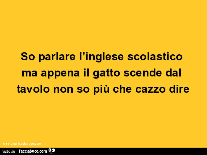 So parlare l'inglese scolastico ma appena il gatto scende dal tavolo non so più che cazzo dire