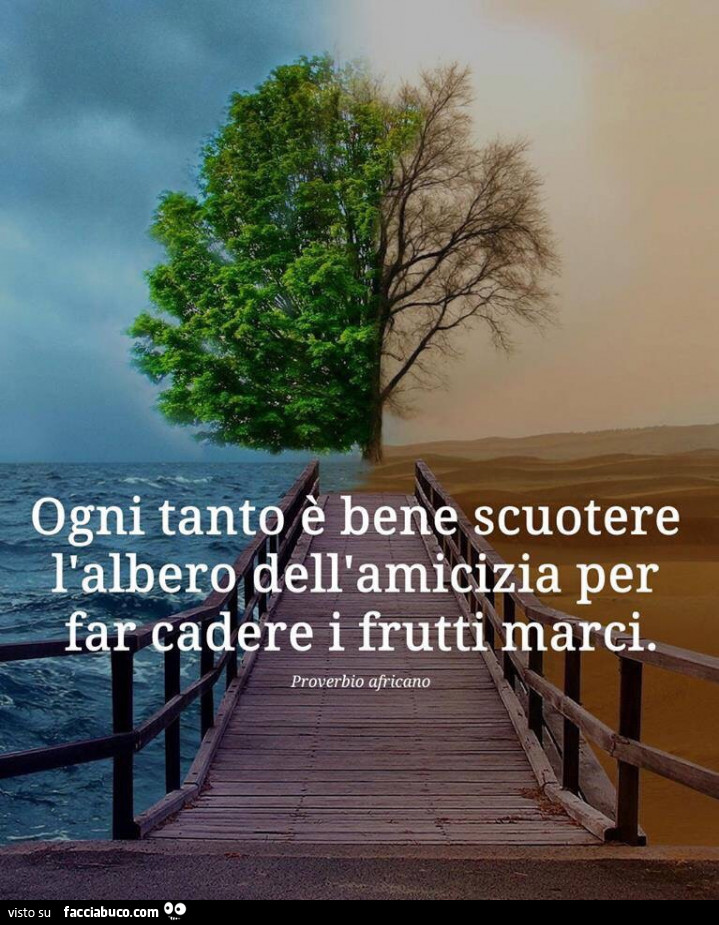 Ogni tanto è bene scuotere l'albero dell'amicizia per far cadere i frutti marci