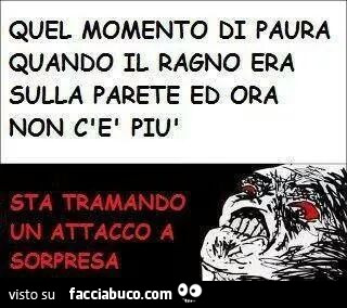 Quel momento di paura quando il ragno era sulla parete ed ora non c'è pilì sta tramando un attacco a sorpresa