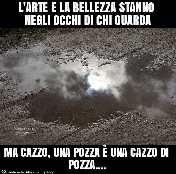 L'arte e la bellezza stanno negli occhi di chi guarda ma cazzo, una pozza è una cazzo di pozza