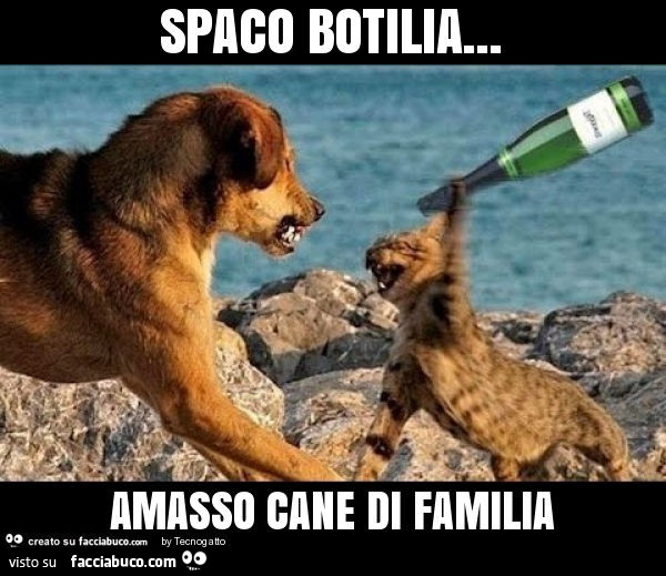 Spaco botilia… amasso cane di familia