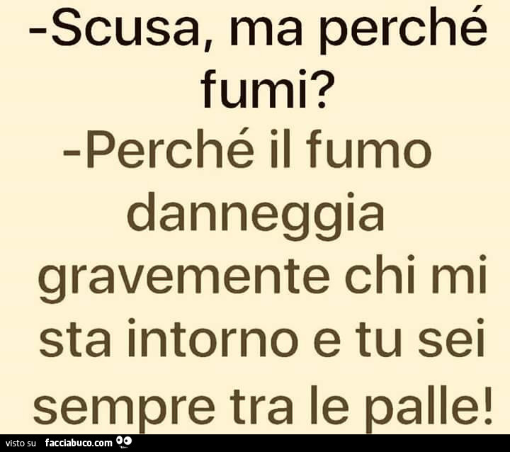 Scusa, ma perchè fumi? Perchè il fumo danneggia gravemente chi mi sta intorno e tu sei sempre tra le palle