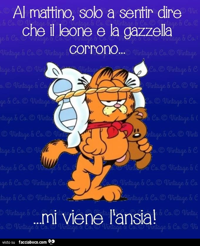 Al mattino, solo a sentir dire che il leone e la gazzella corrono&hellip; mi viene l'ansia