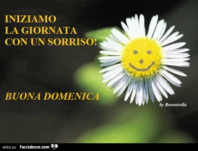 Iniziamo la giornata con un sorriso! Buona domenica