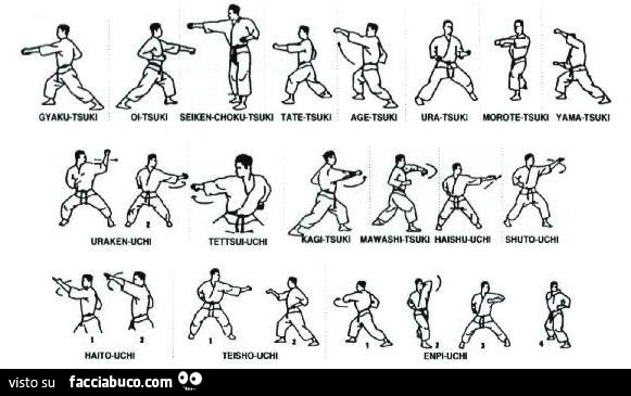 Mosse di Karate