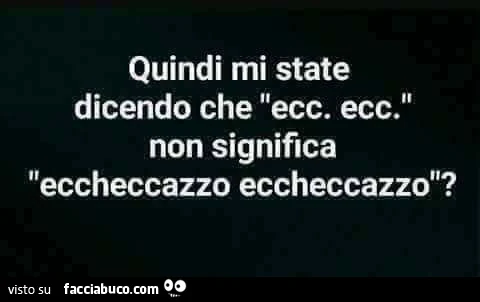 Quindi mi state dicendo che ecc. Ecc. Non significa eccheccazzo eccheccazzo