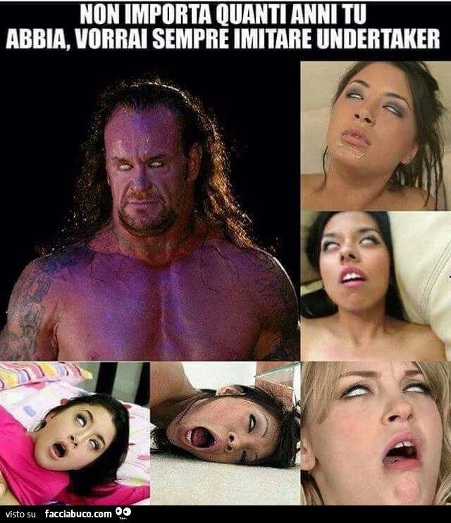 Vaccata