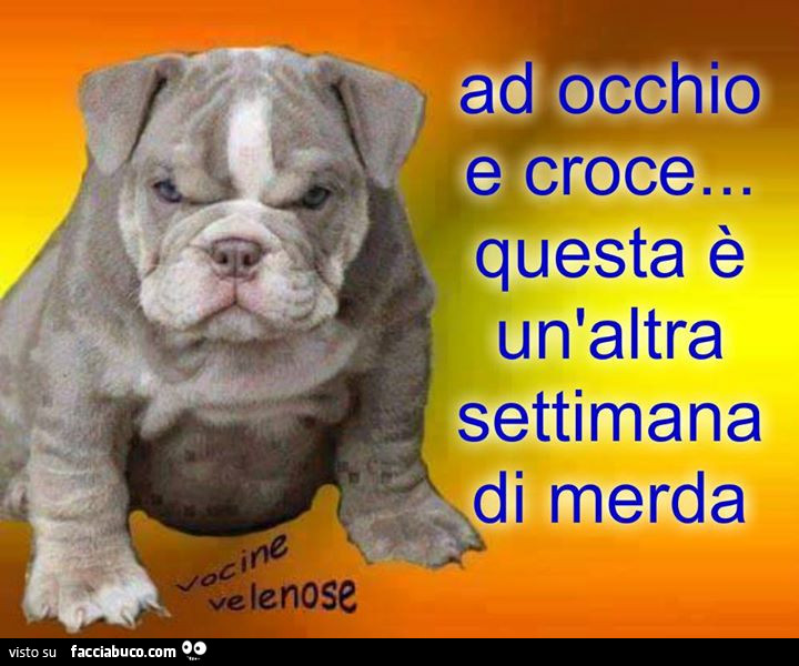 Ad occhio e croce… questa è un'altra settimana di merda