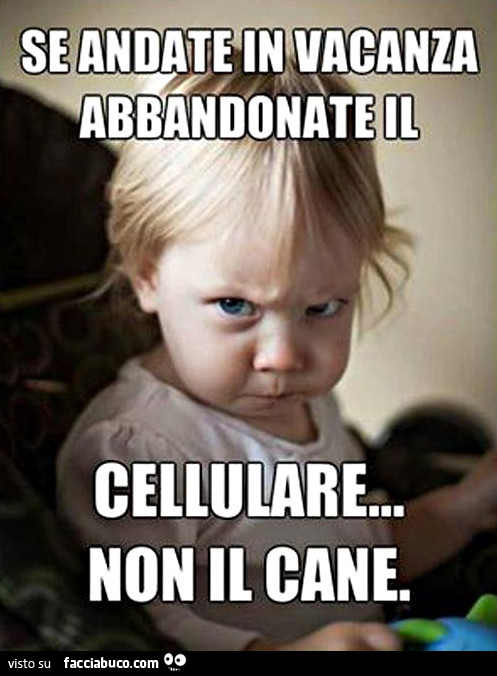 Se andate in vacanza abbandonate il cellulare… non il cane