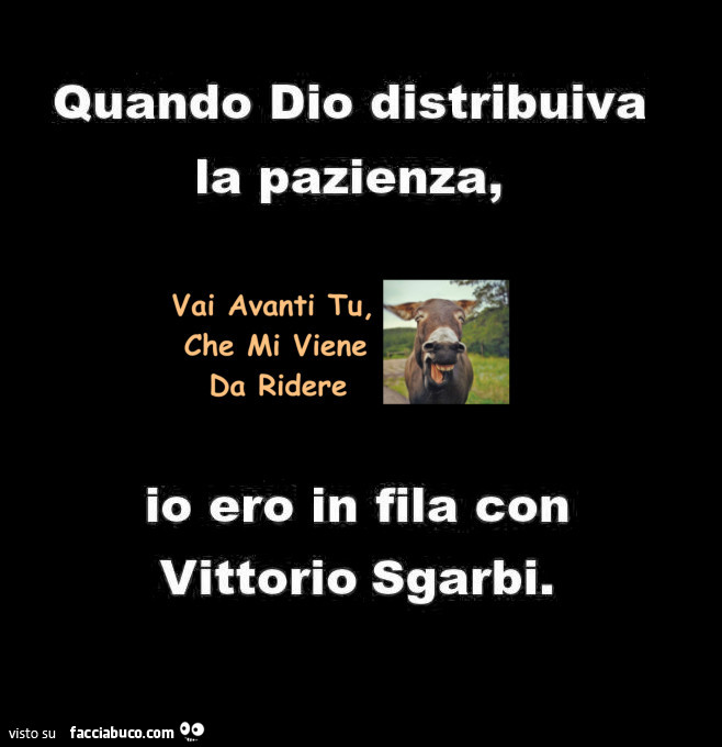 Quando Dio distribuiva la pazienza, io ero in fila con Vittorio Sgarbi