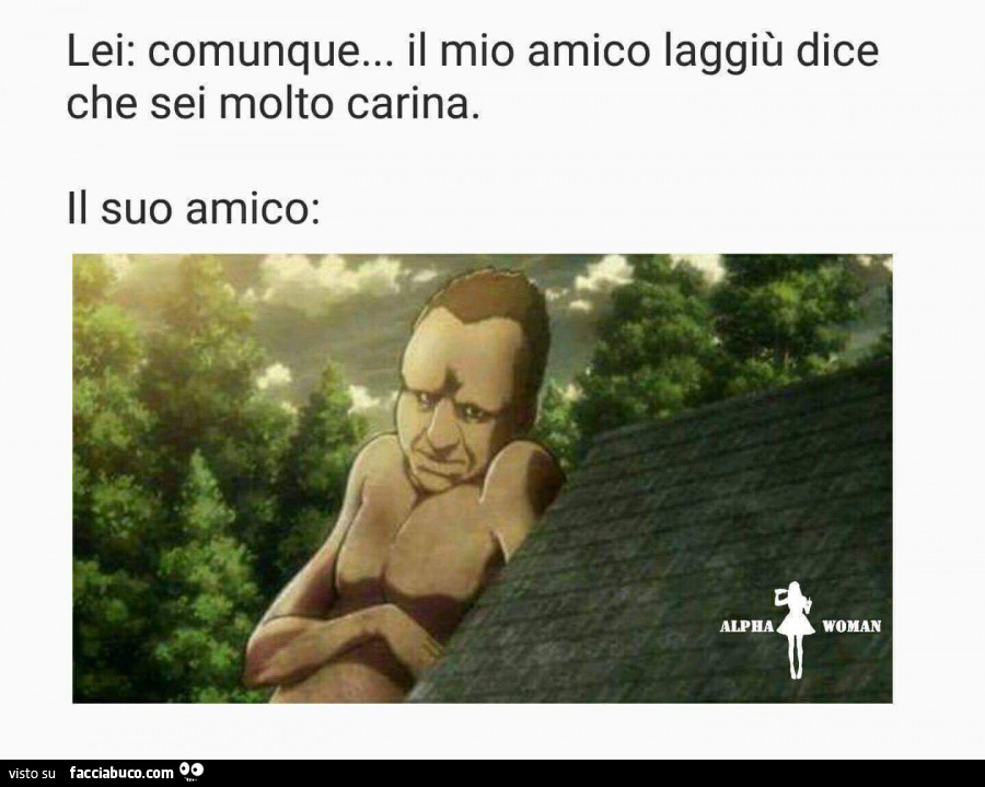 Lei: comunque… il mio amico laggiù dice che sei molto carina. Il suo amico