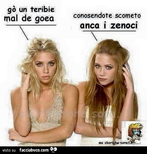 Gò un teribie mal de goea. Conosendote scometo anca i zenoci