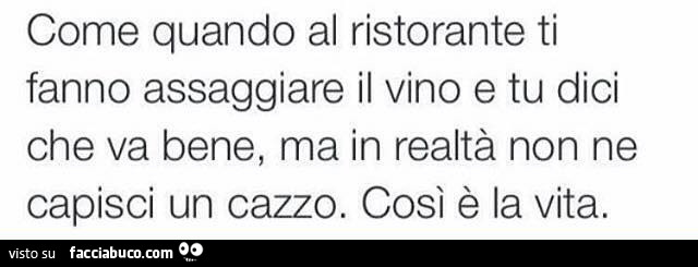 Come quando al ristorante ti fanno assaggiare il vino e tu dici che va bene, ma in realtà non ne capisci un cazzo. Così è la vita