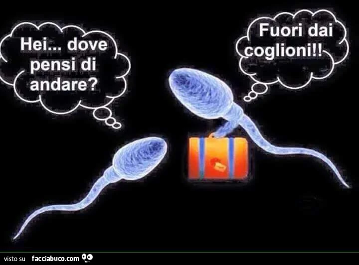 Hei dove pensi di andare? Fuori dai coglioni