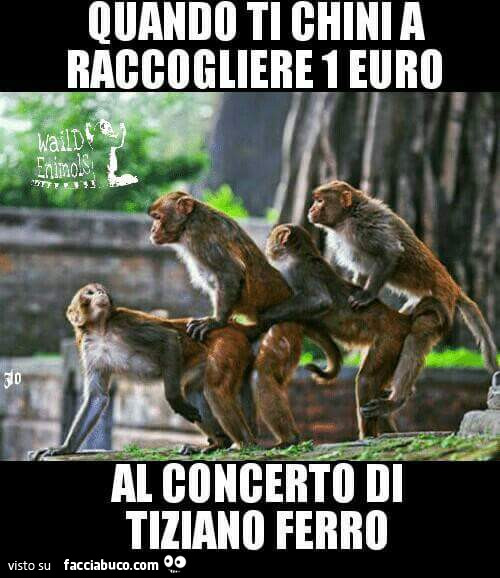 Quando ti chini a raccogliere 1 euro al concerto di tiziano ferro