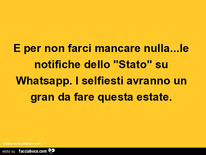 E per non farci mancare nulla… le notifiche dello "stato" su whatsapp. I selfiesti avranno un gran da fare questa estate