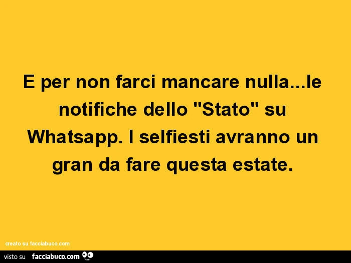 E per non farci mancare nulla&hellip; le notifiche dello "stato" su whatsapp. I selfiesti avranno un gran da fare questa estate