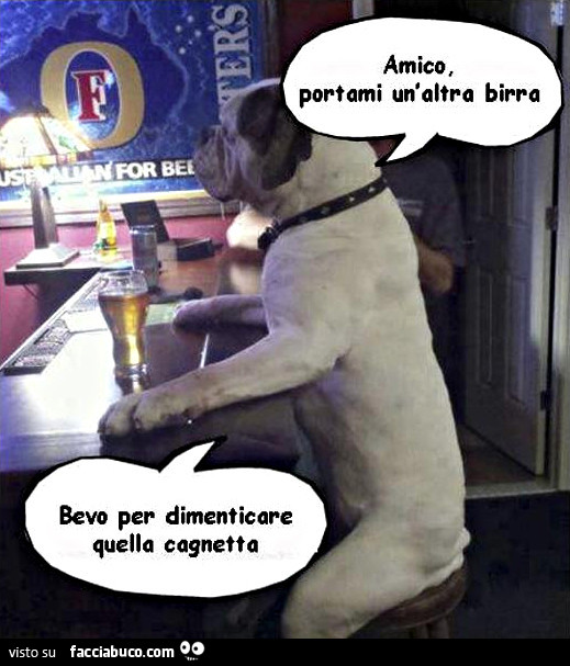 Amico, portami un'altra birra. Bevo per dimenticare quella cagnetta