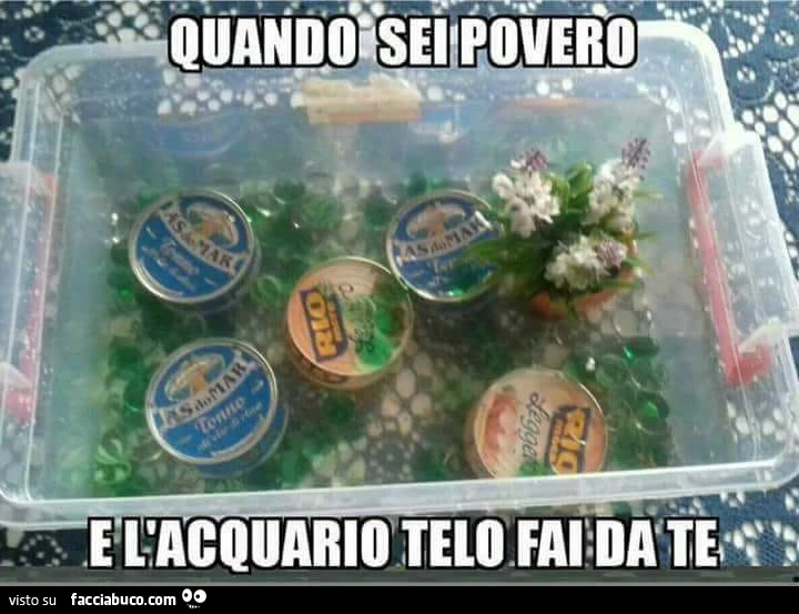 Quando sei povero e l'acquario telo fai da te