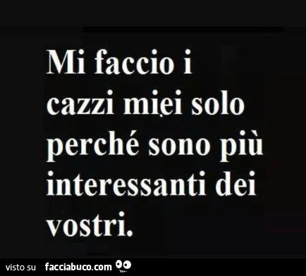 Mi faccio i cazzi miei solo perché sono più interessanti dei vostri