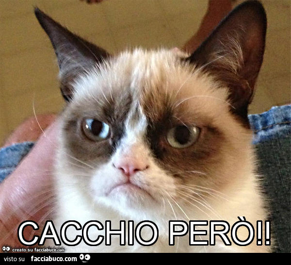 Cacchio però