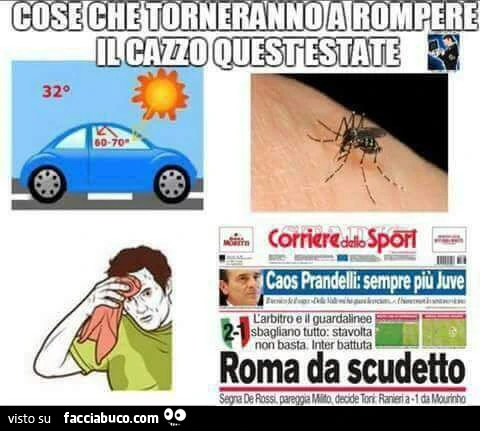 Vaccata