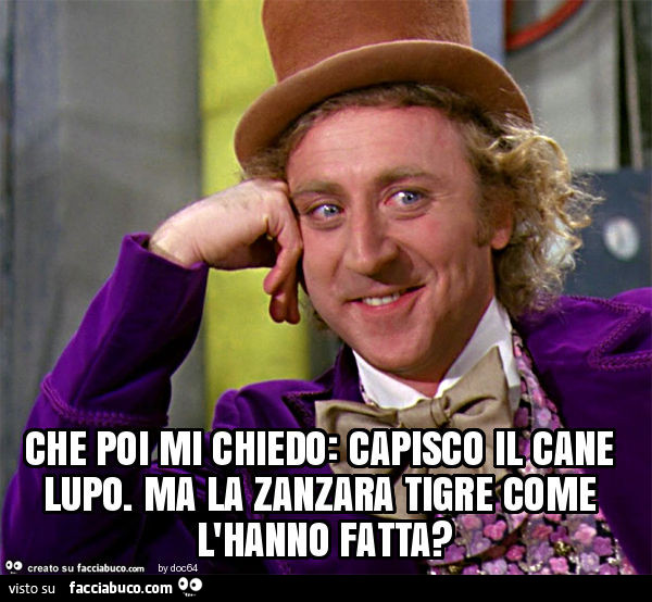Che poi mi chiedo: capisco il cane lupo, ma la zanzara tigre come l'hanno fatta?