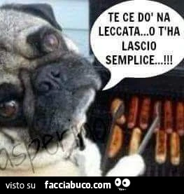 Vaccata