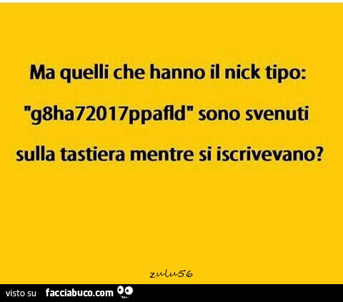 Ma quelli che hanno il nick tipo: g8ha72017ppafld sono svenuti sulla tastiera mentre si iscrivevano?