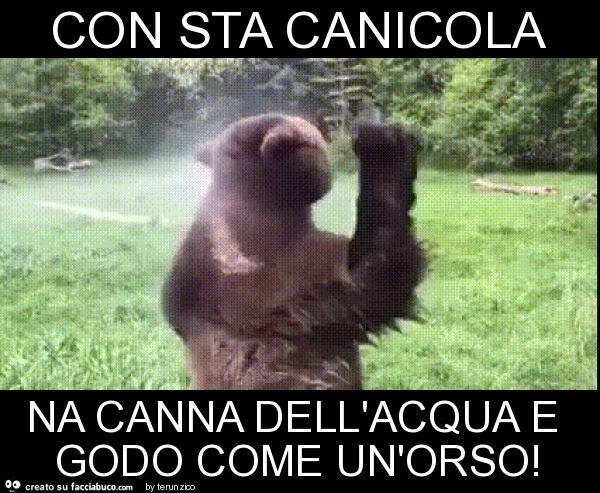 Con sta canicola na canna dell'acqua e godo come un'orso