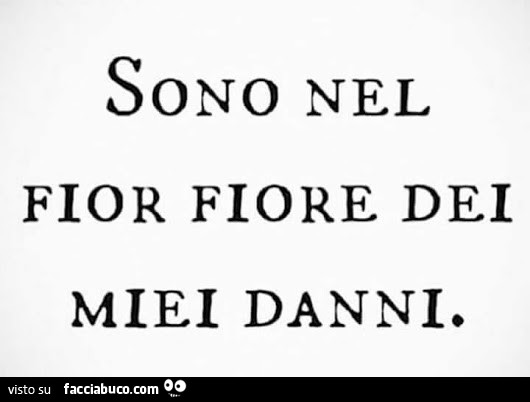 Sono nel fior fiore dei miei danni