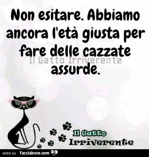 Non esitare. Abbiamo ancora l'età giusta per fare delle cazzate assurde