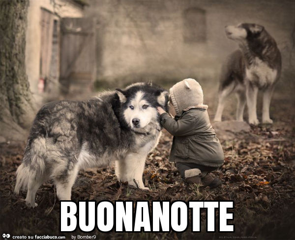 Buonanotte