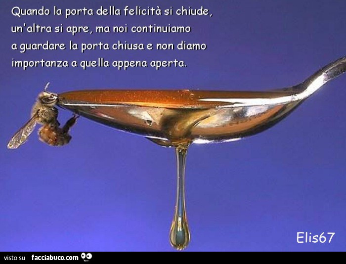 Quando la porta della felicità si chiude, un'altra si apre, ma noi continuiamo a guardare la porta chiusa e non diamo importanza a quella appena aperta