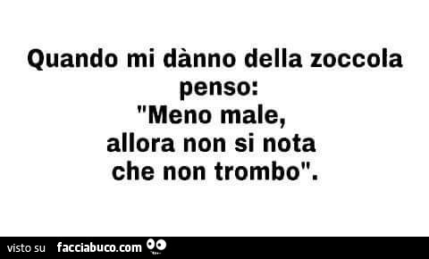 Quando mi danno della zoccola penso: meno male, allora non si nota che non trombo