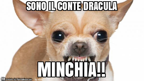Sono il conte dracula minchia