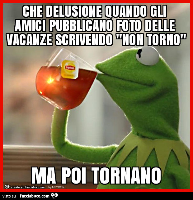 Che delusione quando gli amici pubblicano foto delle vacanze scrivendo "non torno" ma poi tornano