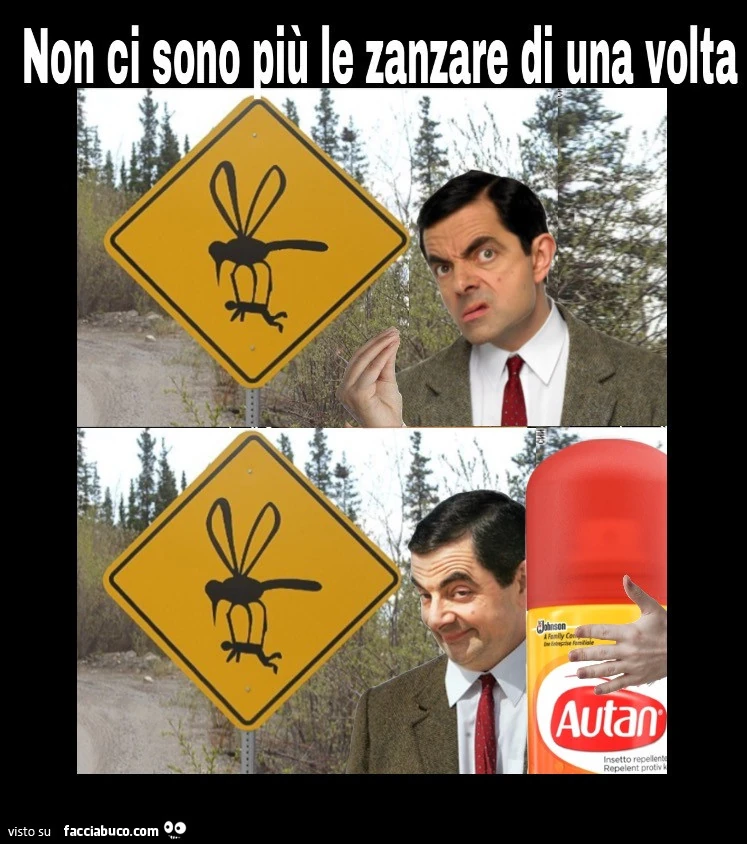 Non ci sono più le zanzare di una volta