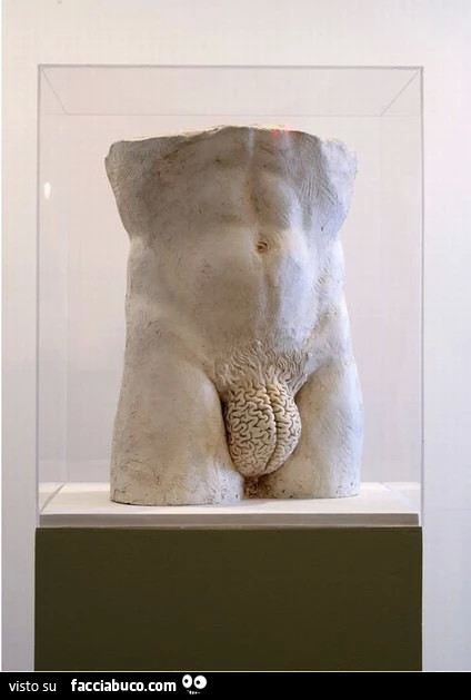 Cervello al posto dei testicoli