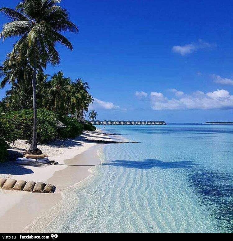 Spiaggia con palme e mare limpido