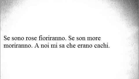 Se sono rose fioriranno. Se son more moriranno. A noi mi sa che erano cachi
