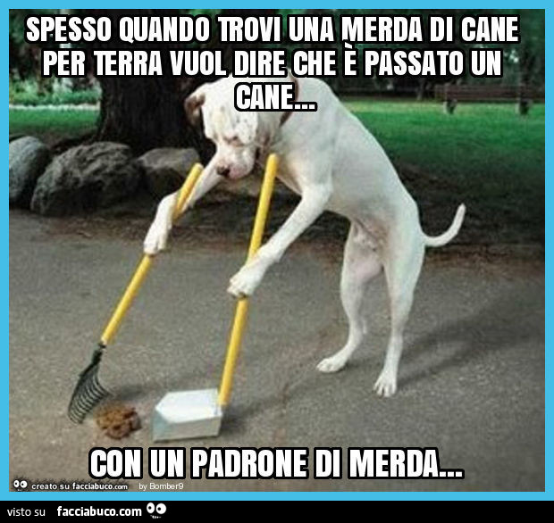 Spesso quando trovi una merda di cane per terra vuol dire che è passato un cane… con un padrone di merda