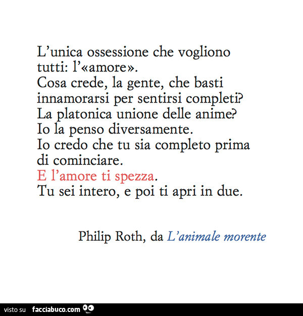 L'unica ossessione che vogliono tutti: l'amore