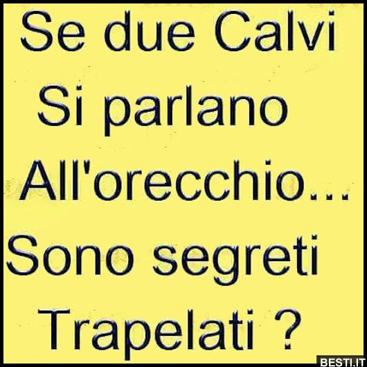 Se due calvi si parlano all'orecchio sono segreti trapelati