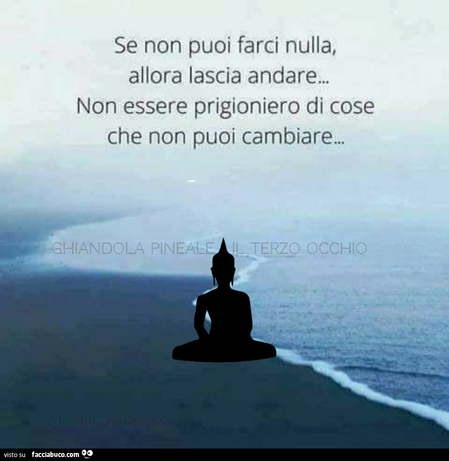Se non puoi farci nulla, allora lascia andare. Non essere prigioniero di cose che non puoi cambiare