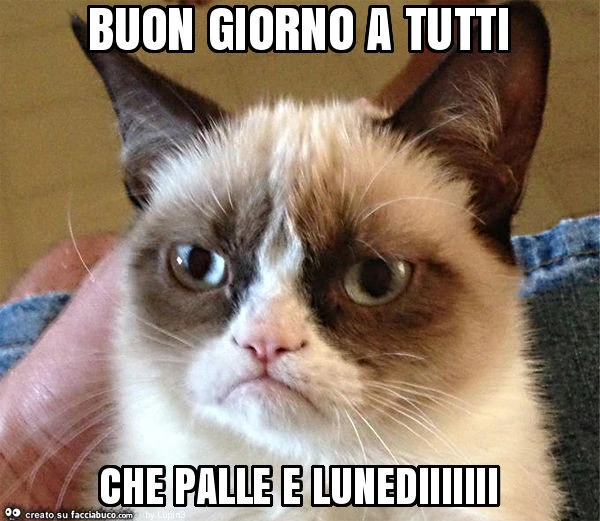 Buon giorno a tutti che palle e lunediiiiiii