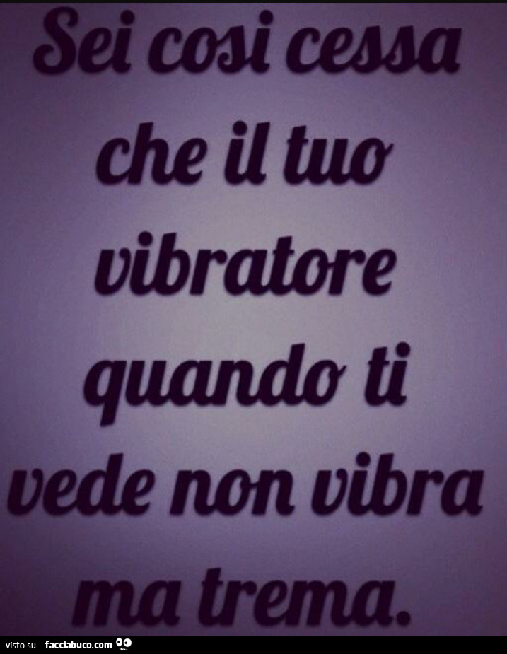 Sei così cessa che il tuo vibratore quando ti vede non vibra ma trema