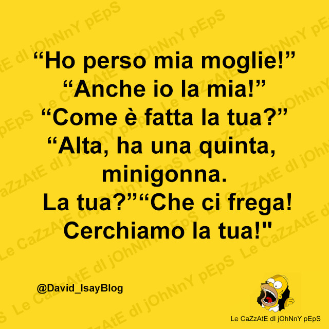 Ho perso mia moglie! Anche io la mia! Come è fatta la tua? Alta, ha una quinta, minigonna. La tua? Che ci frega! Cerchiamo la tua